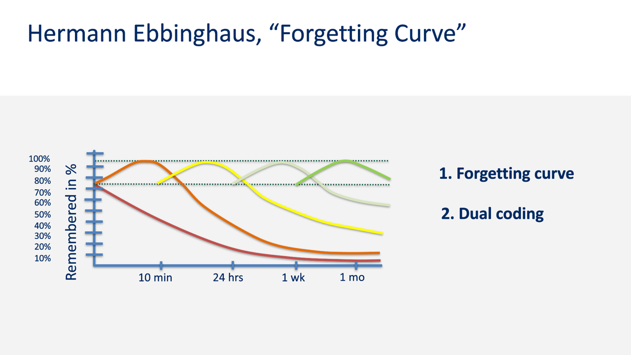 Forgetting curve